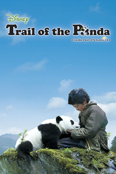 Постер к фильму След панды (2009)